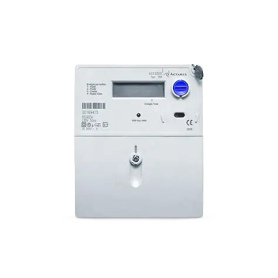 Actaris ACE2000 type 290